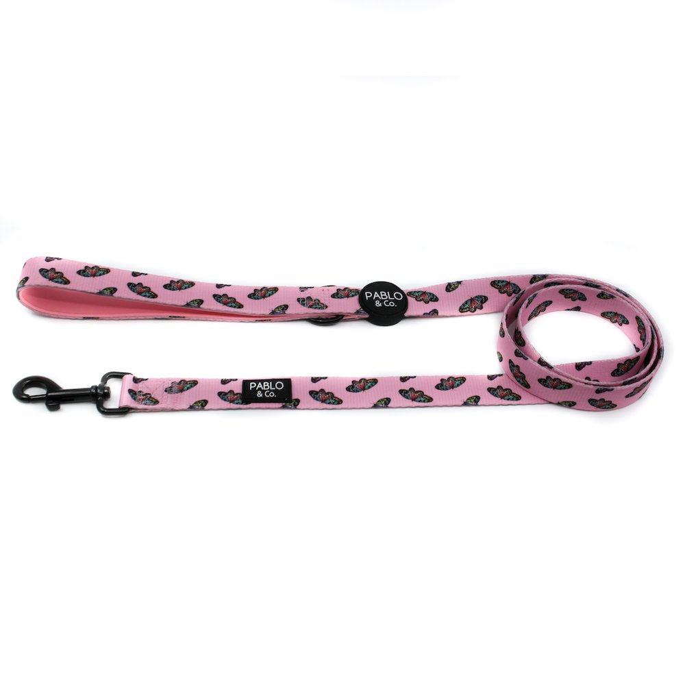 PABLO & CO - Butterflies Dog Leash