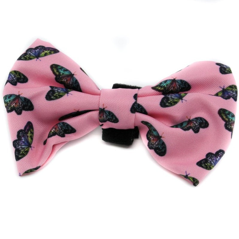 PABLO & CO - Butterflies Bowtie