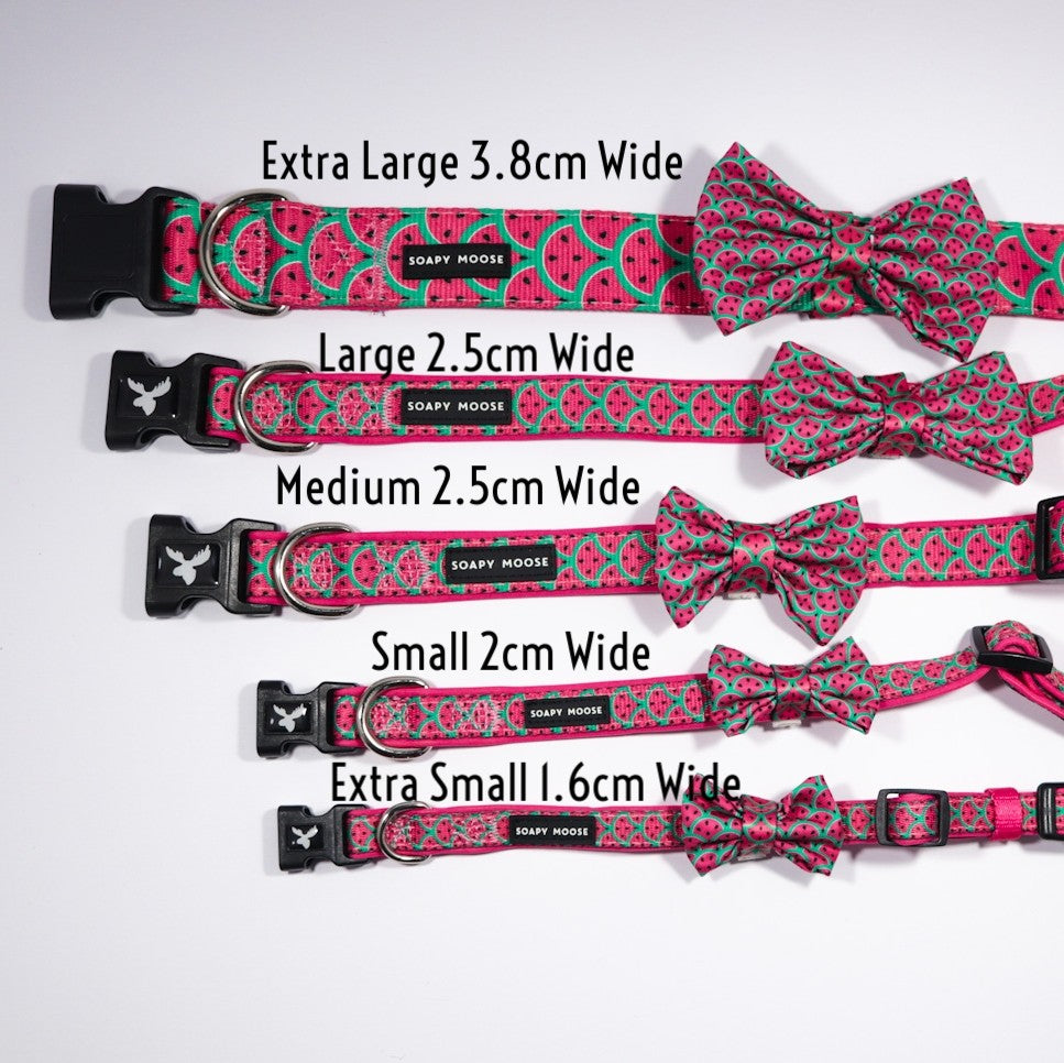 SOAPY MOOSE - Hot Pink Watermelon Collar & Bow Tie