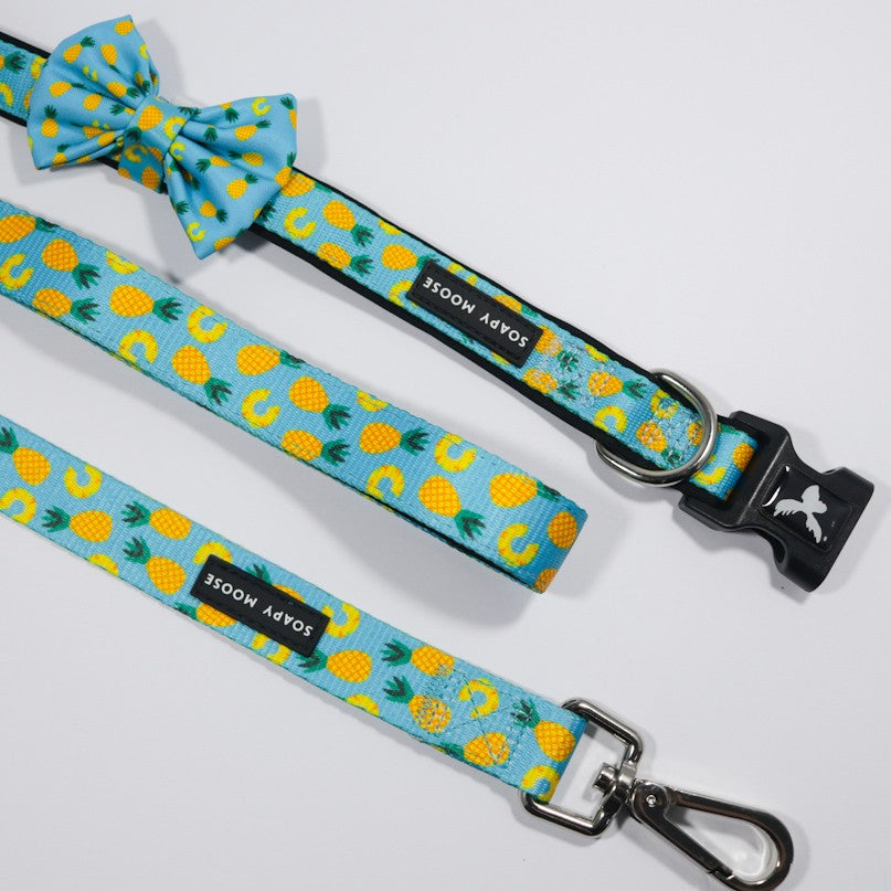SOAPY MOOSE - Pineapple Slices Collar & Bow Tie