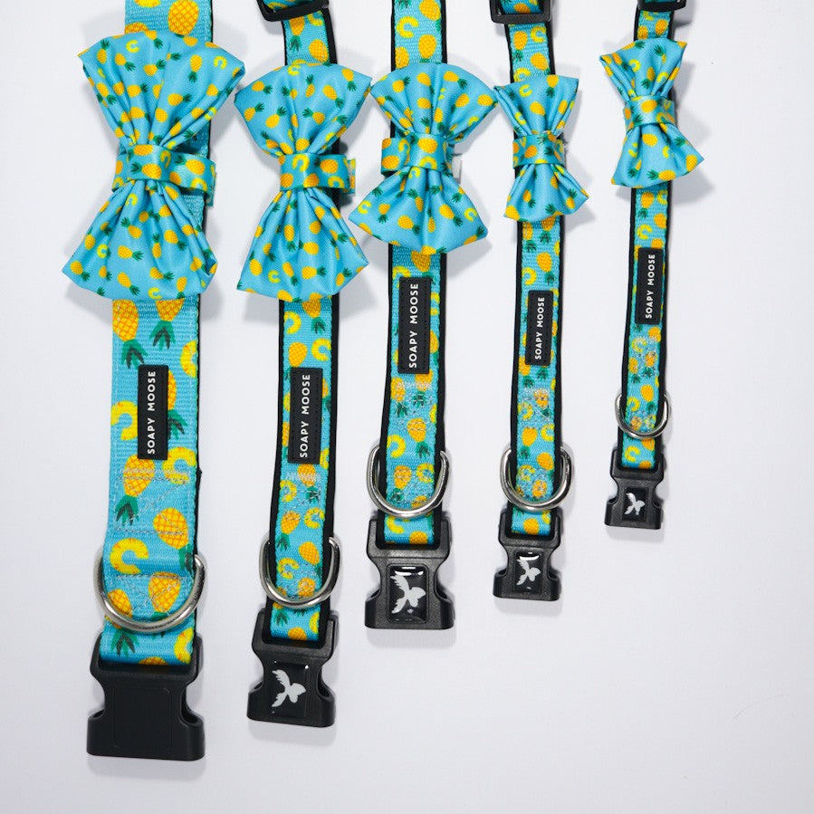 SOAPY MOOSE - Pineapple Slices Collar & Bow Tie