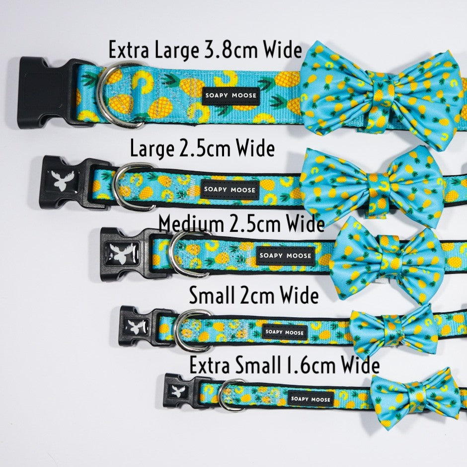SOAPY MOOSE - Pineapple Slices Collar & Bow Tie