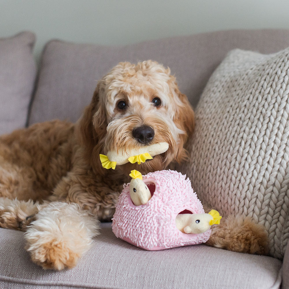 ZIPPY PAWS - Zippy Burrows Seahorse 'n Coral Dog Toy