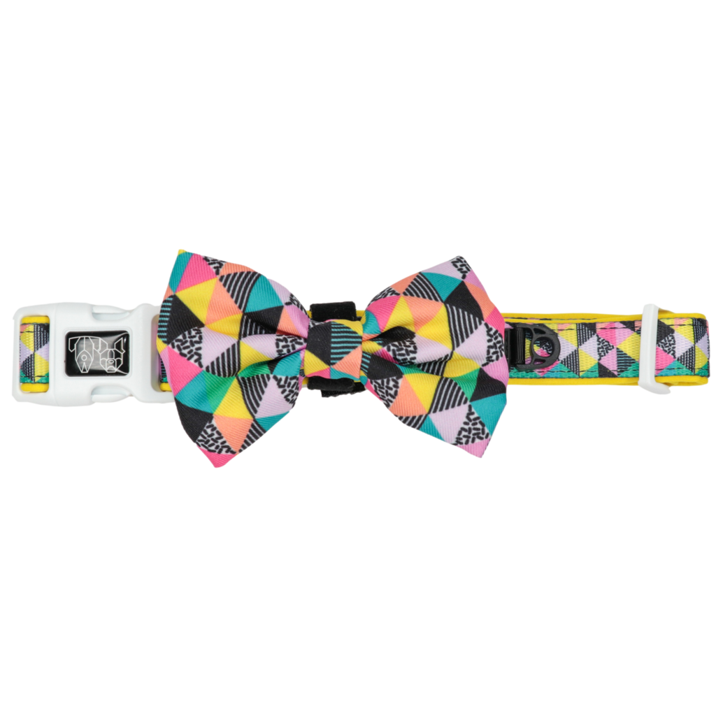 BIG & LITTLE DOGS - All-Sorts Dog Collar & Bow Tie