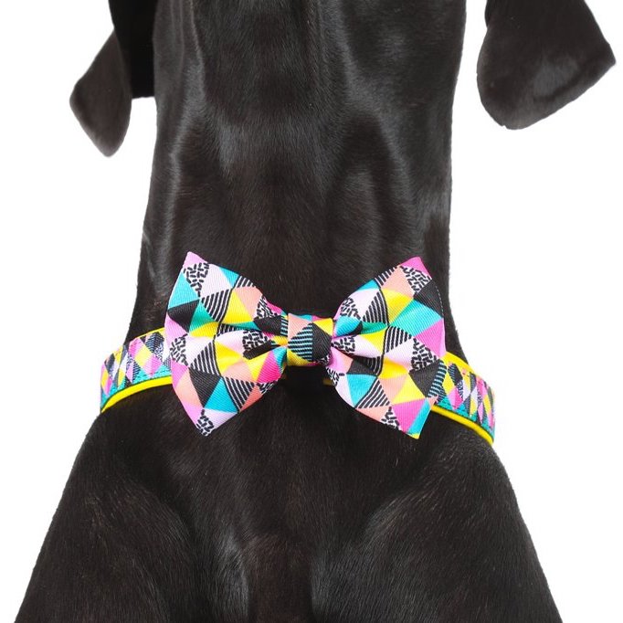 BIG & LITTLE DOGS - All-Sorts Dog Collar & Bow Tie