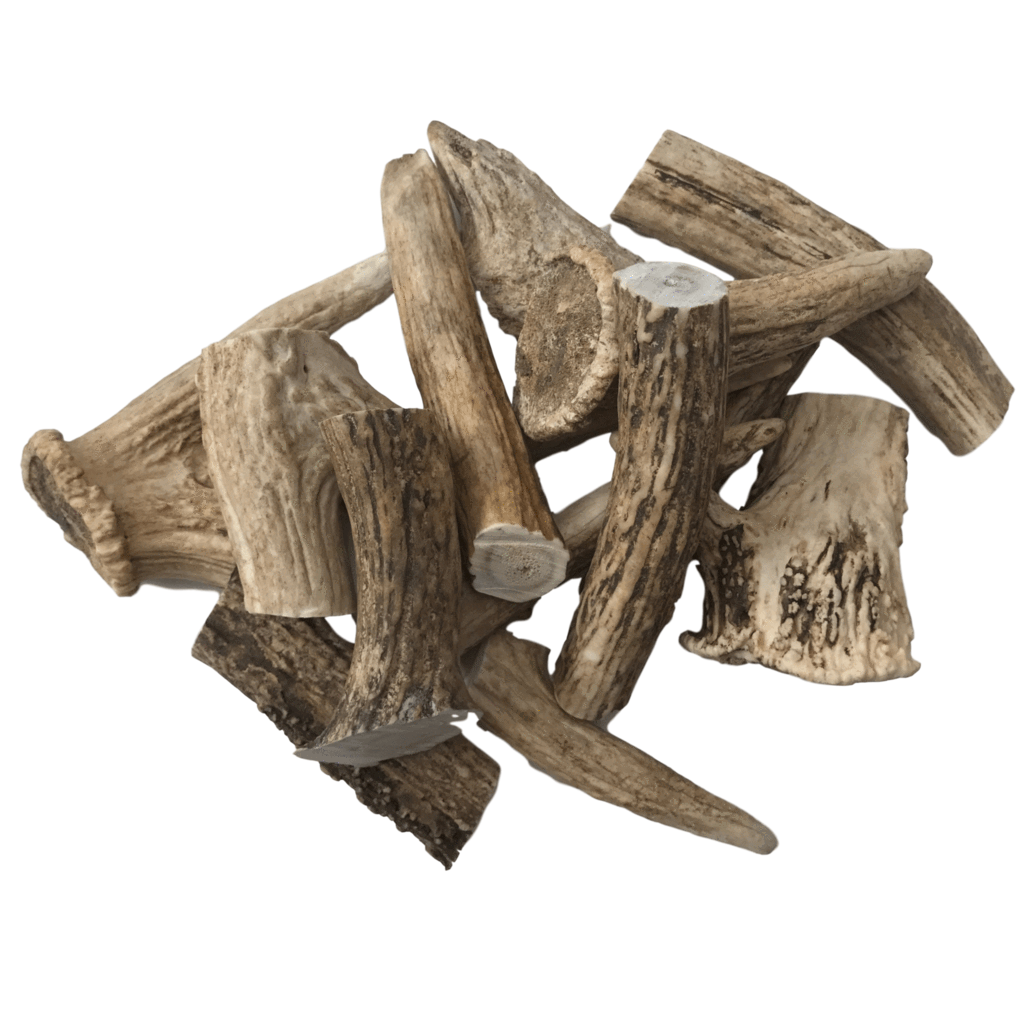 L'BARKERY - Deer Antler