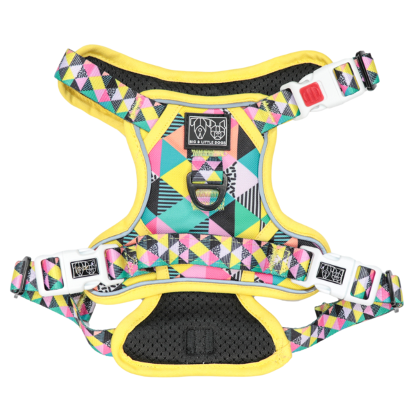 BIG & LITTLE DOGS - All-Sorts All Rounder Dog Harness