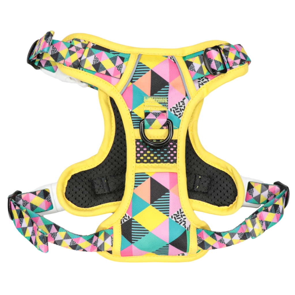 BIG & LITTLE DOGS - All-Sorts All Rounder Dog Harness