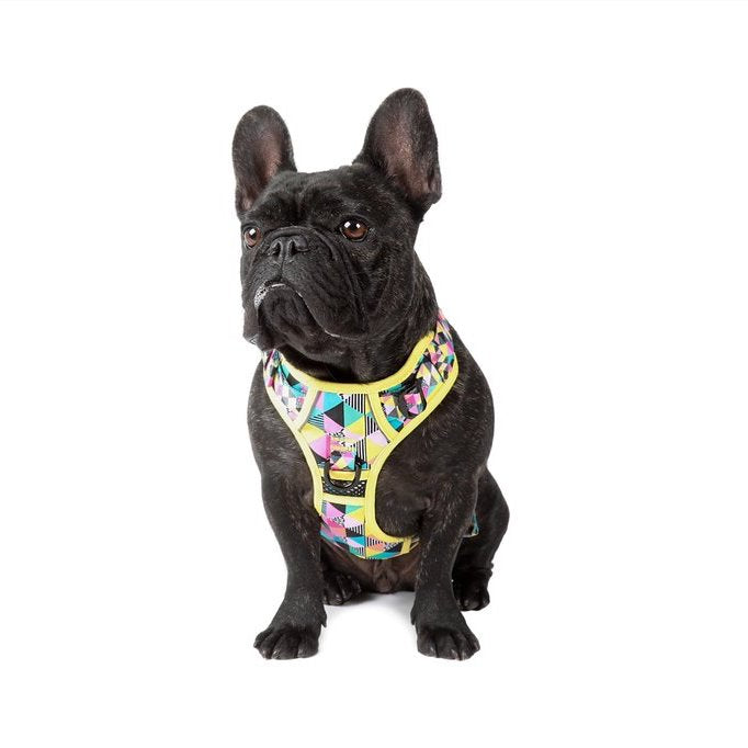 BIG & LITTLE DOGS - All-Sorts All Rounder Dog Harness