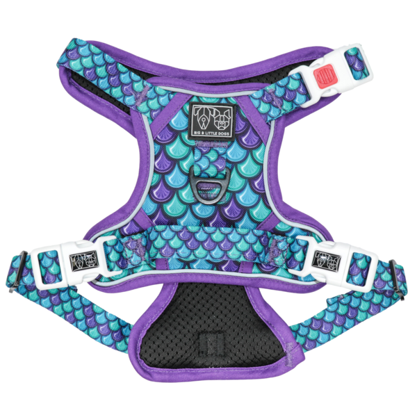 BIG & LITTLE DOGS - Scaled Back All Rounder Dog Harness