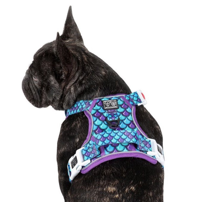 BIG & LITTLE DOGS - Scaled Back All Rounder Dog Harness