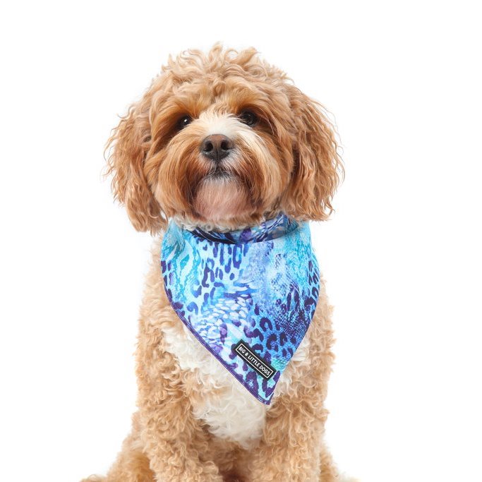 BIG & LITTLE DOGS - Snakeskin Dog Bandana