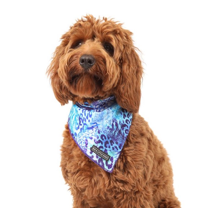BIG & LITTLE DOGS - Snakeskin Dog Bandana