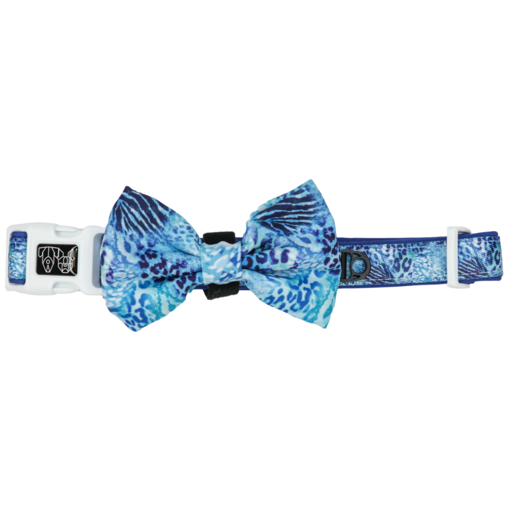 BIG & LITTLE DOGS - Snakeskin Dog Collar & Bow Tie