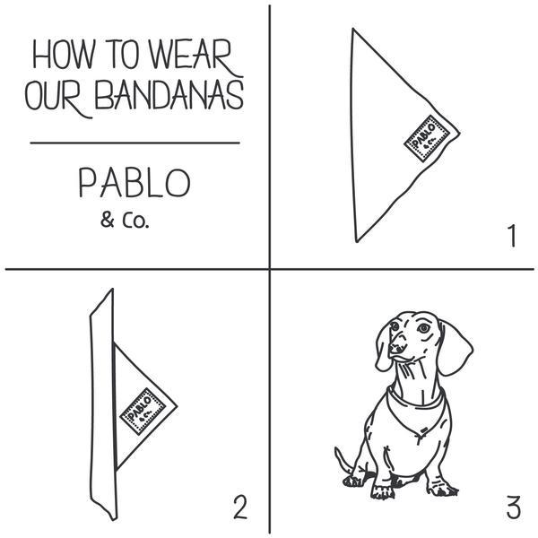 PABLO & CO - Pink Leopard Bandana