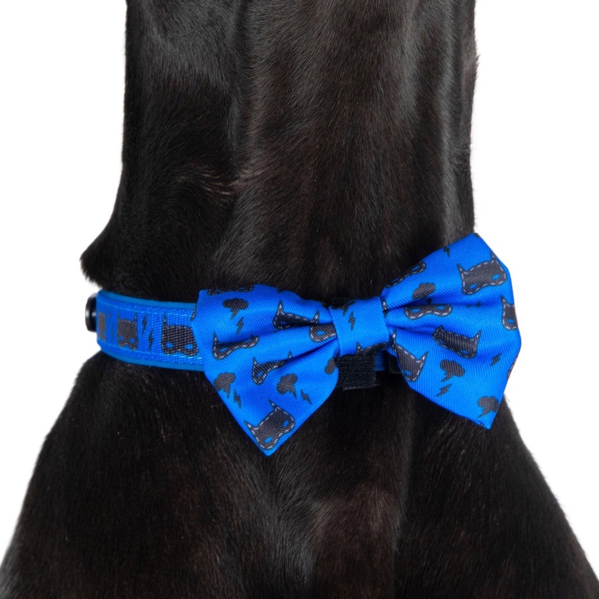 BIG & LITTLE DOGS - Bat-Dog Dog Collar & Bow Tie
