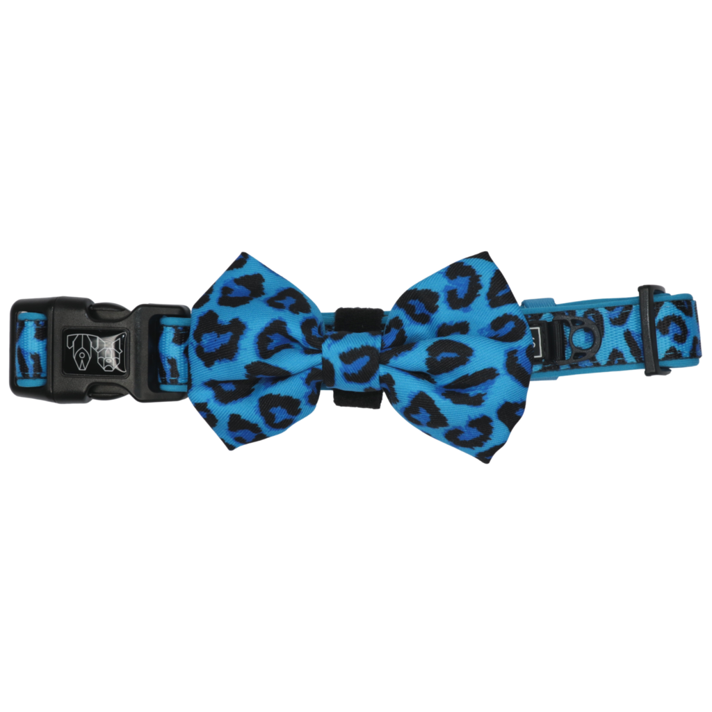 BIG & LITTLE DOGS - Blue Leopard Dog Collar & Bow Tie
