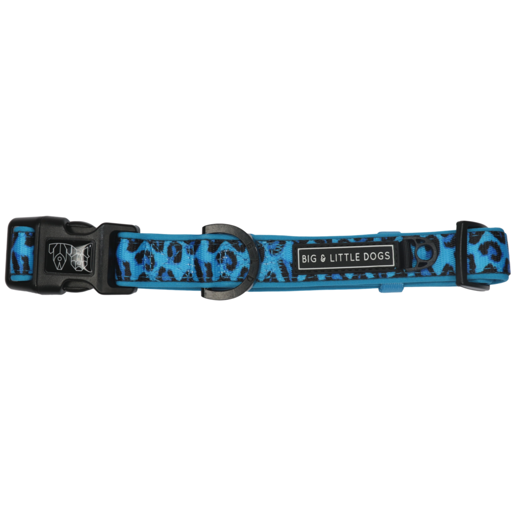 BIG & LITTLE DOGS - Blue Leopard Dog Collar & Bow Tie