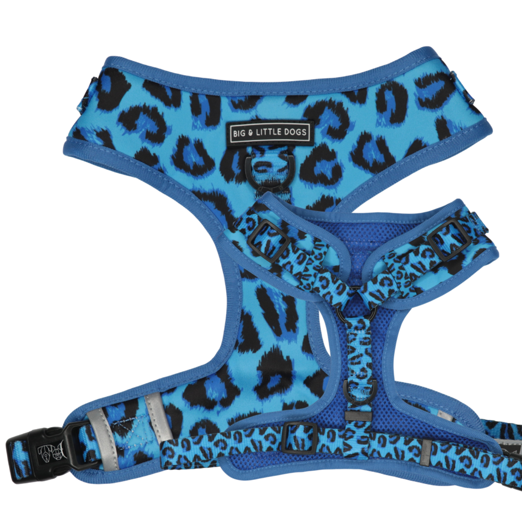 BIG & LITTLE DOGS - Blue Leopard Adjustable Dog Harness