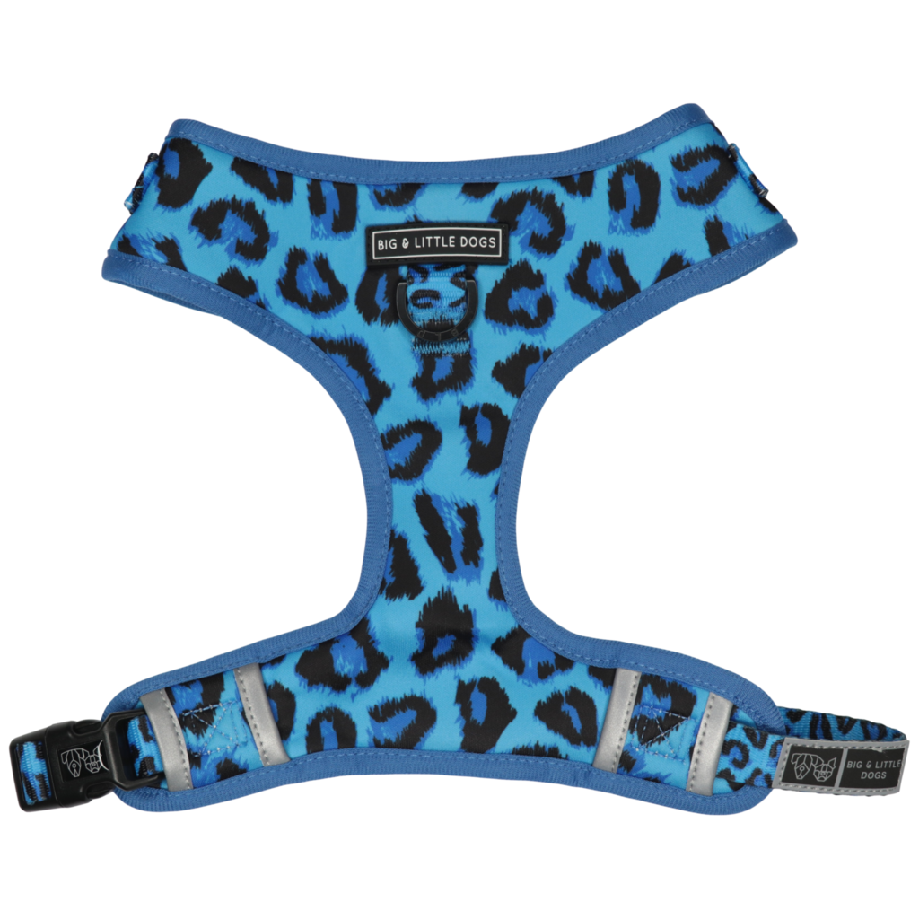 BIG & LITTLE DOGS - Blue Leopard Adjustable Dog Harness