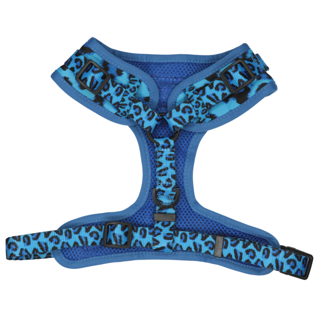BIG & LITTLE DOGS - Blue Leopard Adjustable Dog Harness