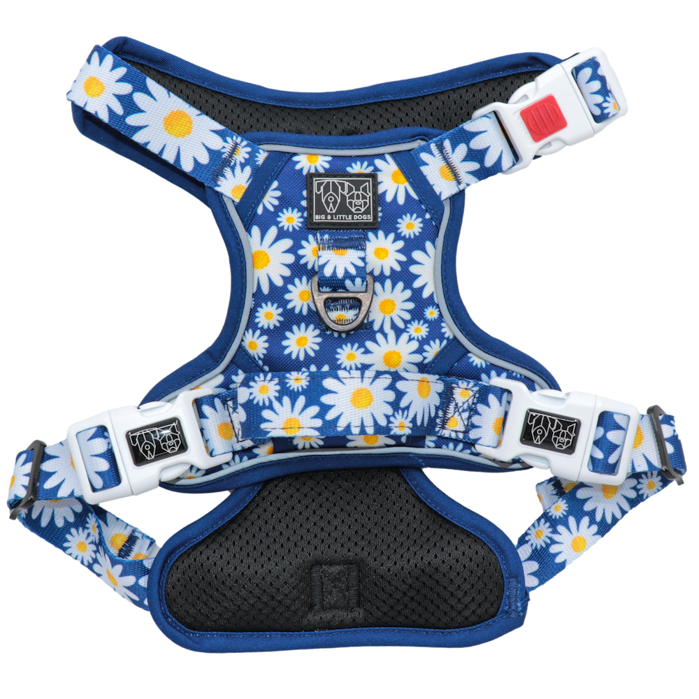 BIG & LITTLE DOGS - Daisy Patch All Rounder Dog Harness