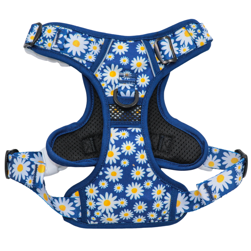 BIG & LITTLE DOGS - Daisy Patch All Rounder Dog Harness