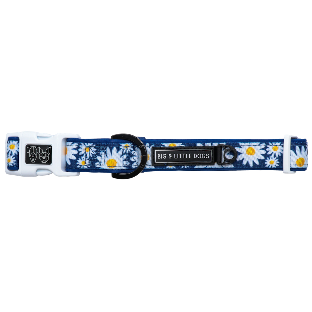 BIG & LITTLE DOGS - Daisy Patch Dog Collar & Bow Tie