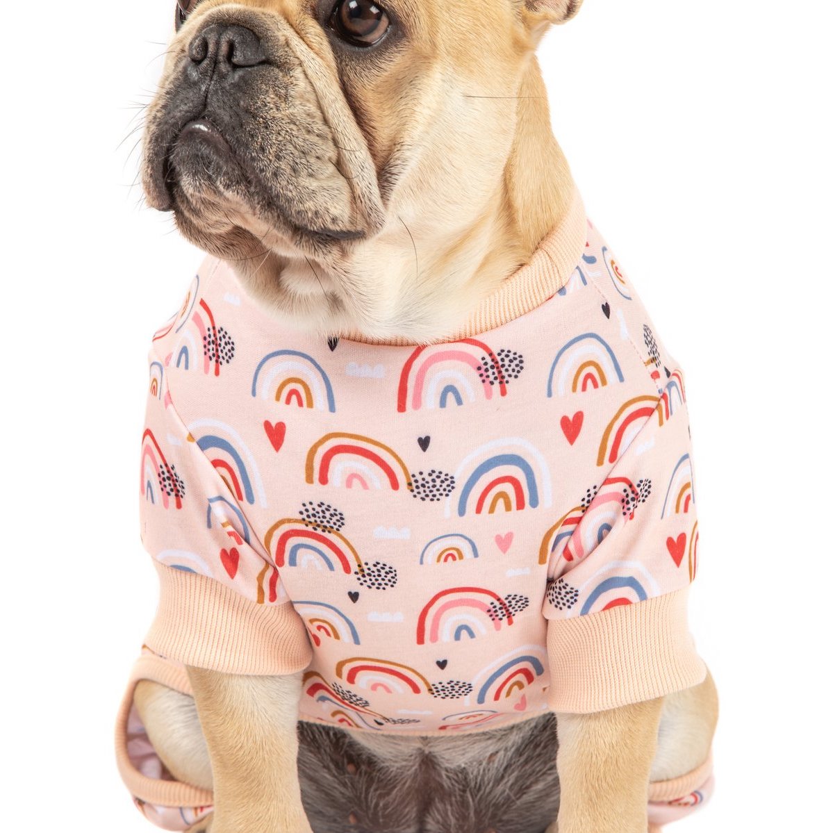 BIG & LITTLE DOGS - Onesie Pyjamas: Rainbow Dreams
