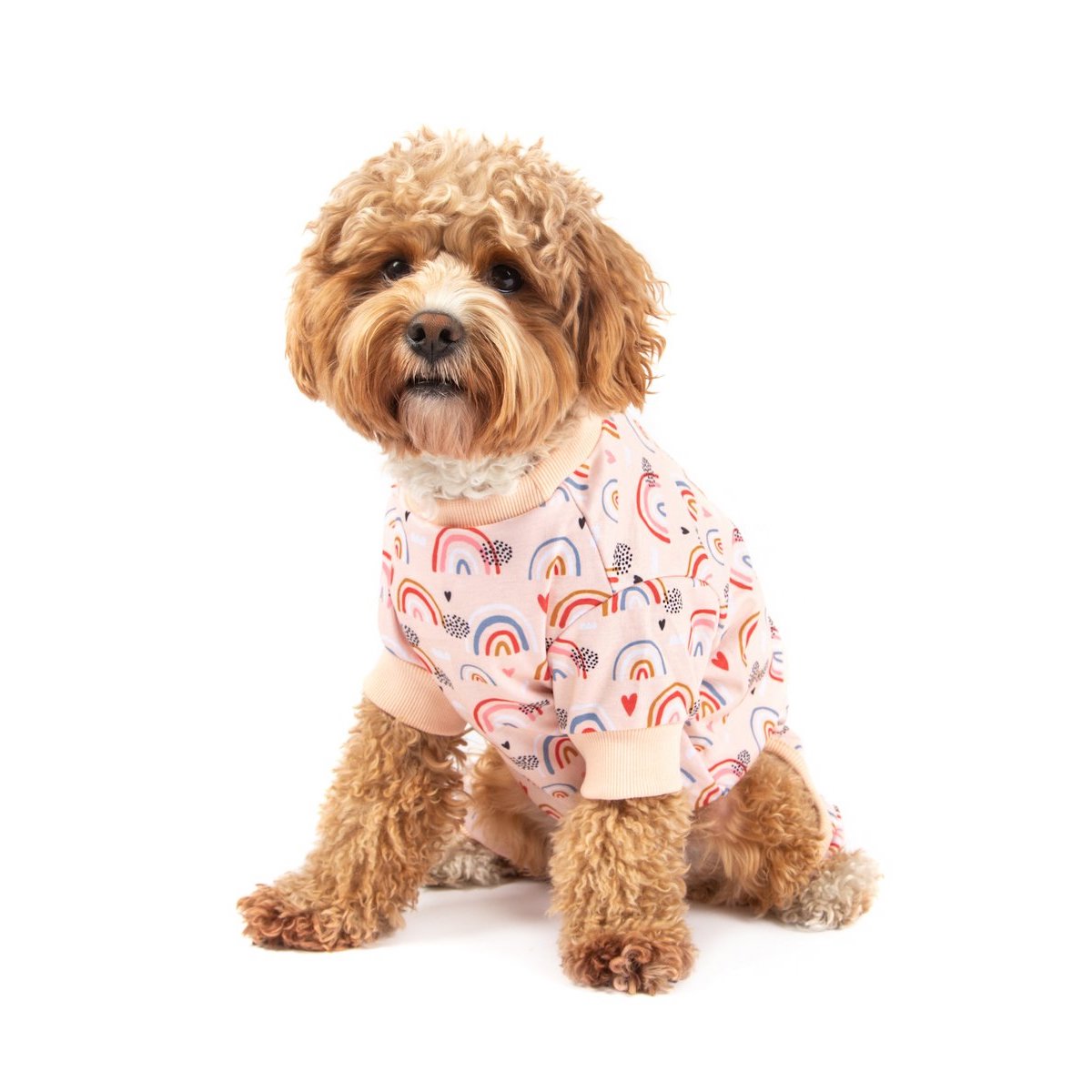BIG & LITTLE DOGS - Onesie Pyjamas: Rainbow Dreams