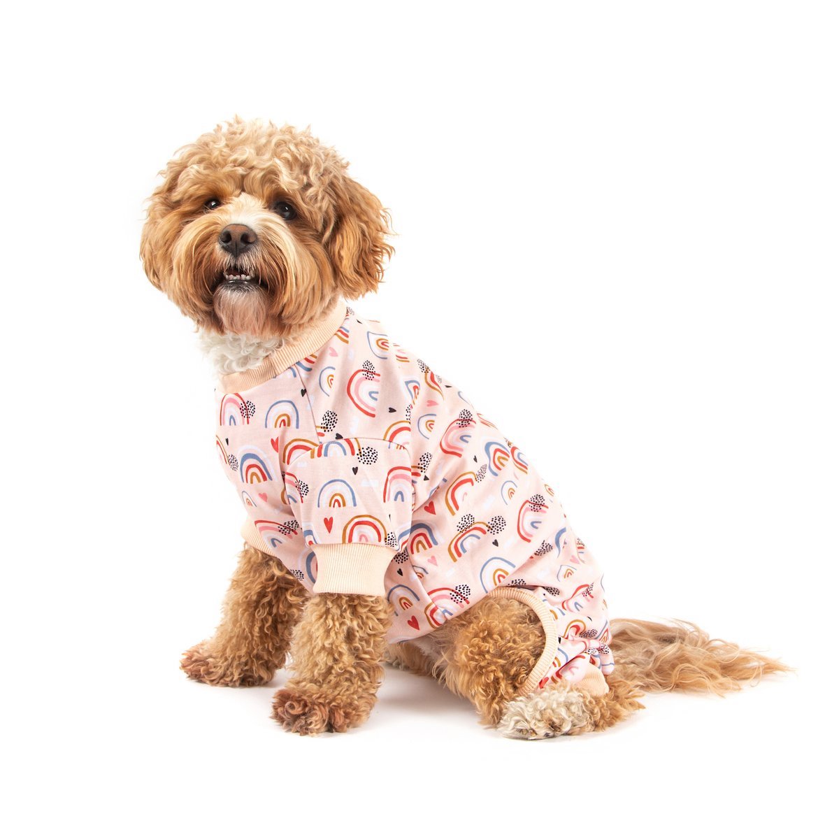 BIG & LITTLE DOGS - Onesie Pyjamas: Rainbow Dreams