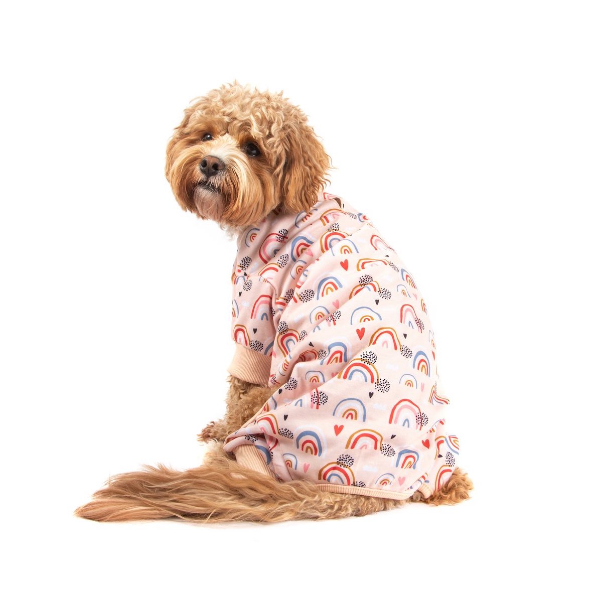 BIG & LITTLE DOGS - Onesie Pyjamas: Rainbow Dreams