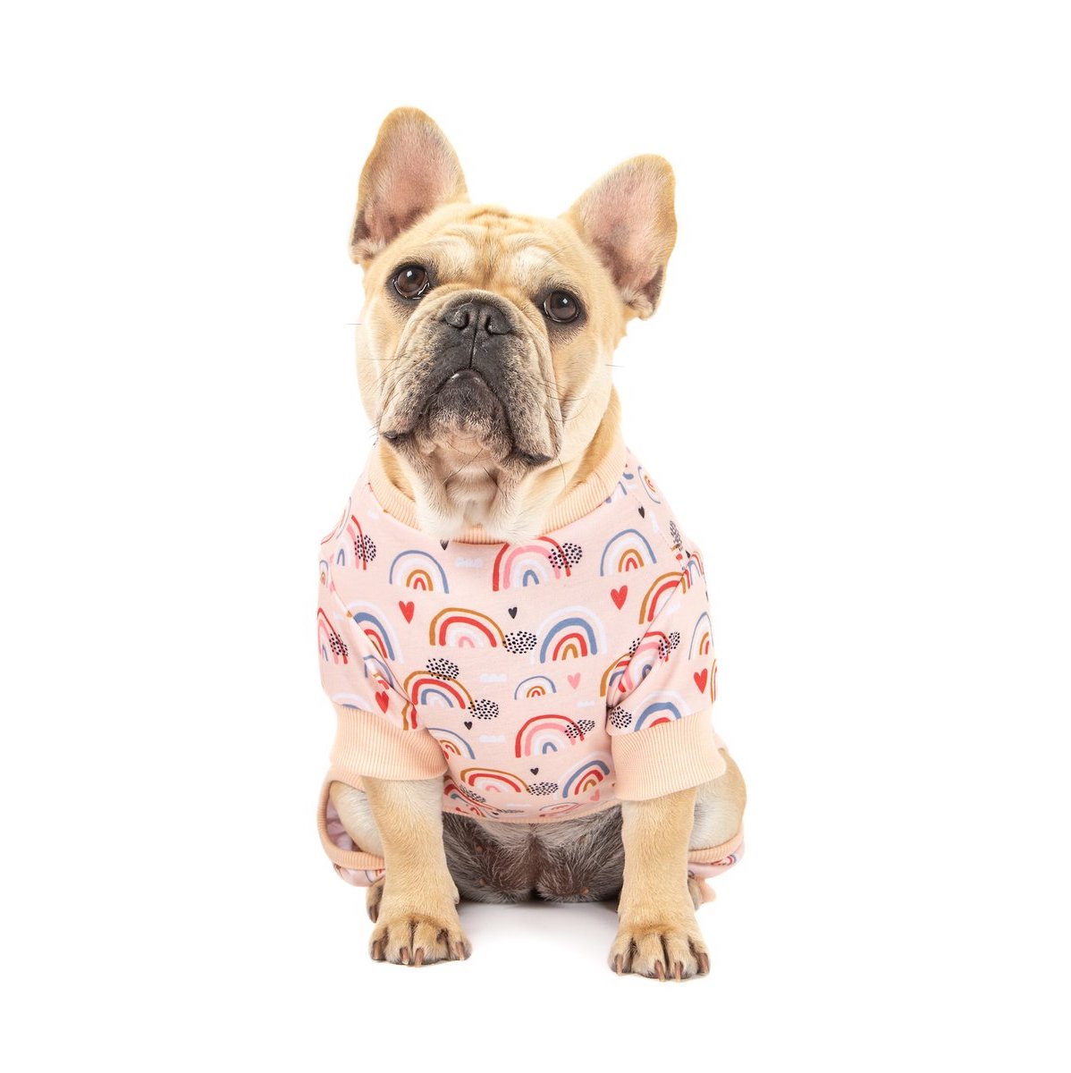BIG & LITTLE DOGS - Onesie Pyjamas: Rainbow Dreams