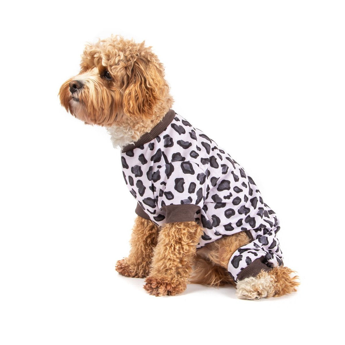 BIG & LITTLE DOGS - Onesie Pyjamas: Grey Leopard