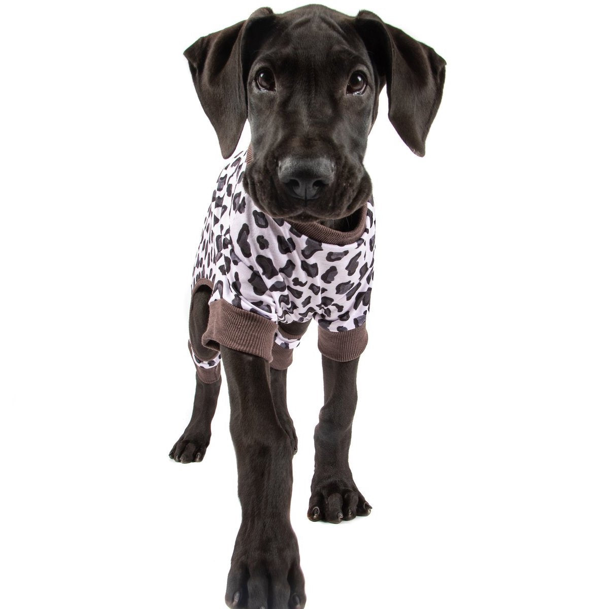 BIG & LITTLE DOGS - Onesie Pyjamas: Grey Leopard