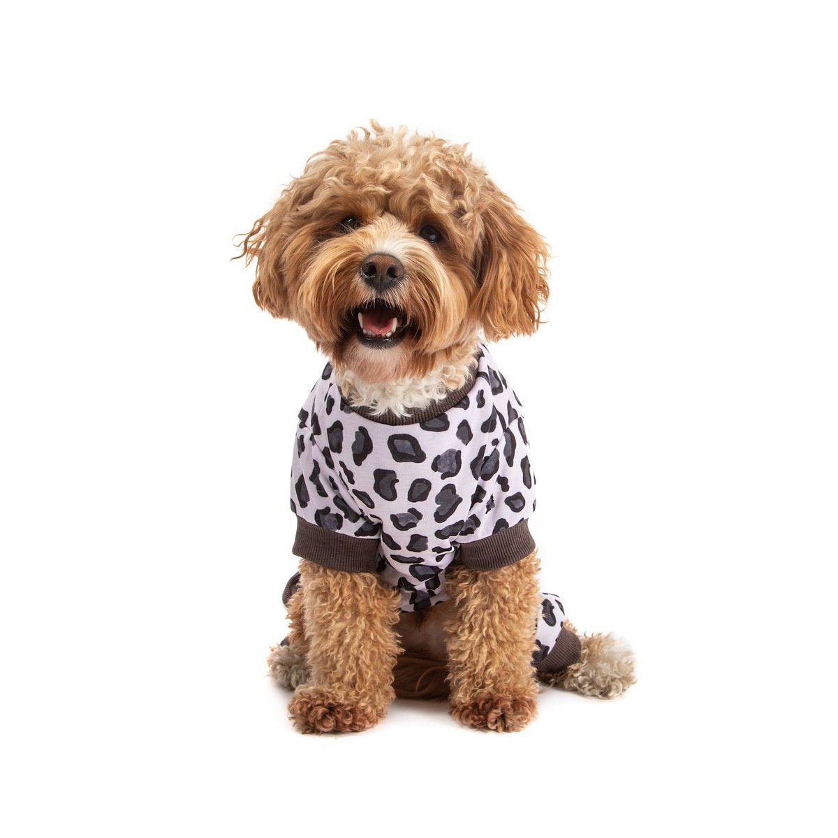 BIG & LITTLE DOGS - Onesie Pyjamas: Grey Leopard