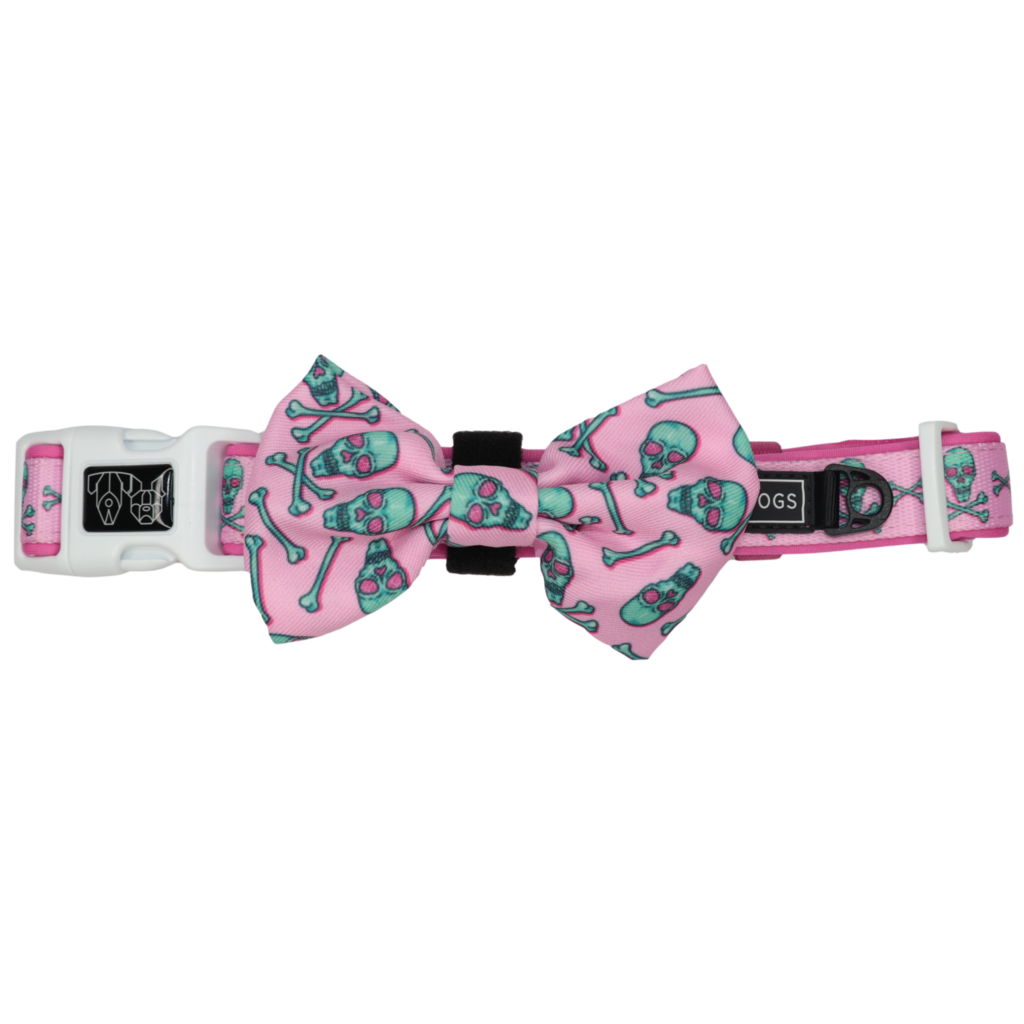 BIG & LITTLE DOGS - Skull & Bones Dog Collar & Bow Tie