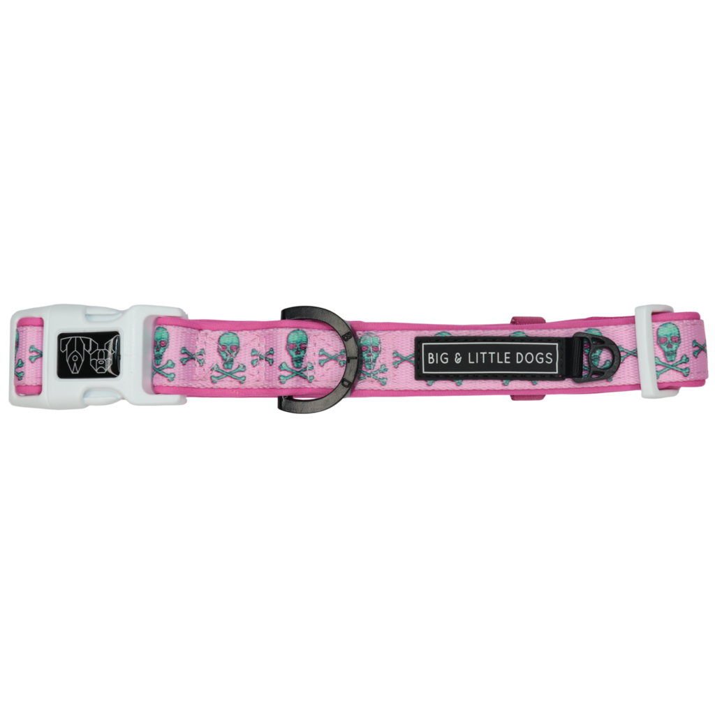 BIG & LITTLE DOGS - Skull & Bones Dog Collar & Bow Tie