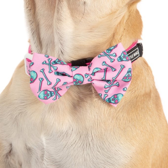 BIG & LITTLE DOGS - Skull & Bones Dog Collar & Bow Tie