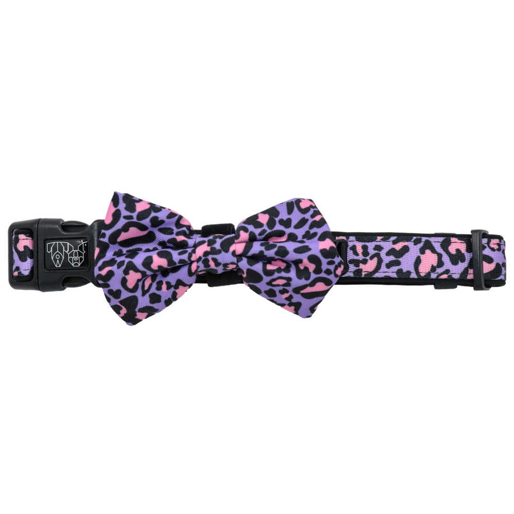BIG & LITTLE DOGS - Wild Side Dog Collar & Bow Tie