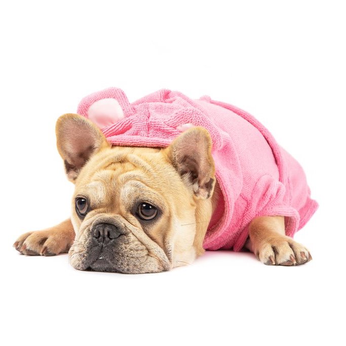 BIG & LITTLE DOGS - Dog Bath Robe: Bubblegum Pink