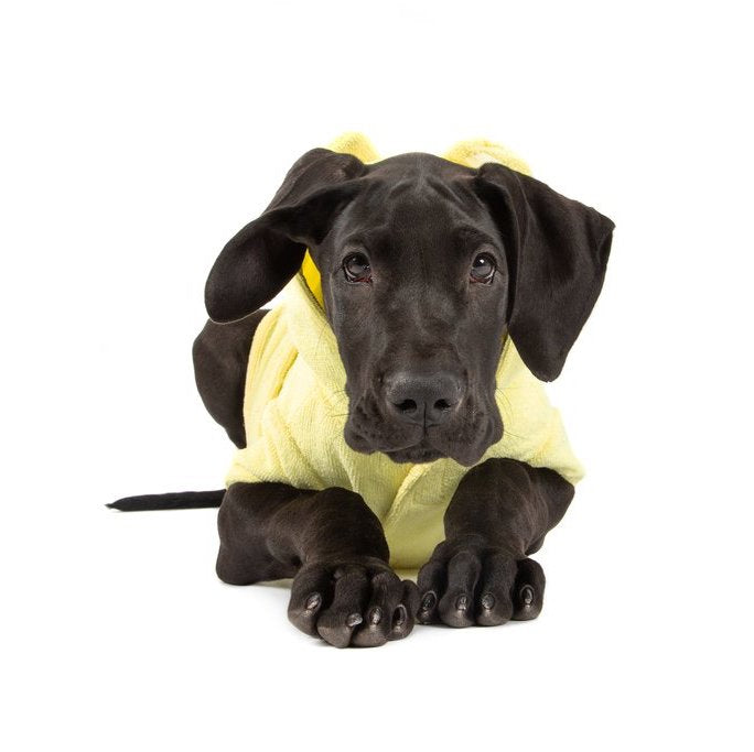 BIG & LITTLE DOGS - Dog Bath Robe: Lemon