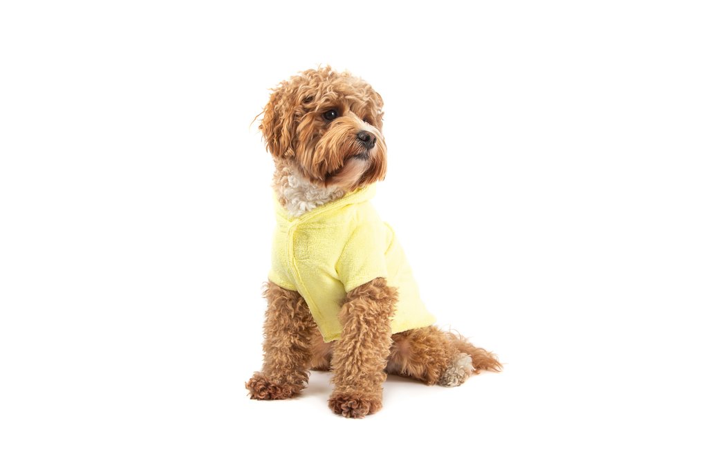 BIG & LITTLE DOGS - Dog Bath Robe: Lemon