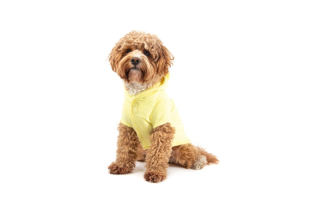 BIG & LITTLE DOGS - Dog Bath Robe: Lemon