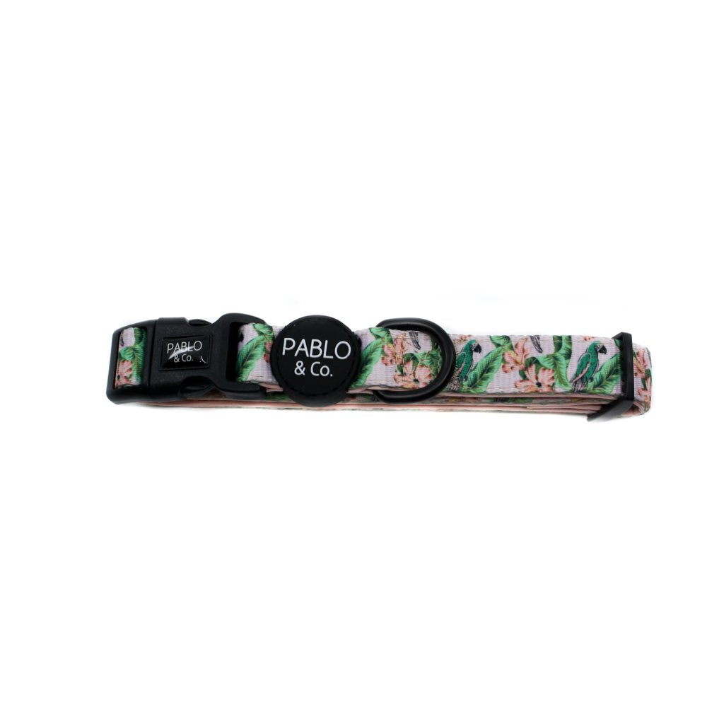 PABLO & CO - Blushing Parrots Dog Collar