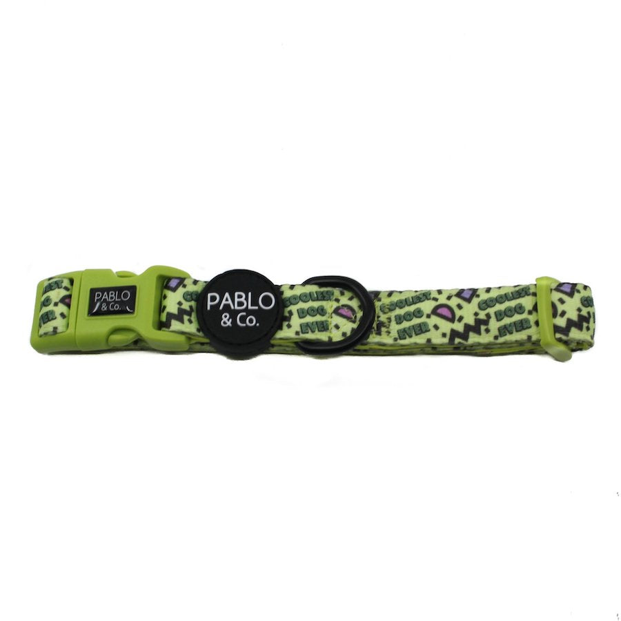 PABLO & CO - Coolest Dog Ever Dog Collar