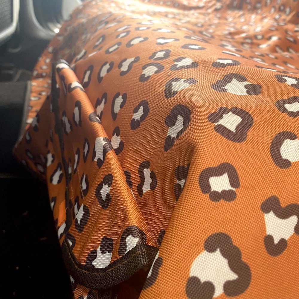 PABLO & CO - That Leopard Print Hammock Back Car Seat Cover