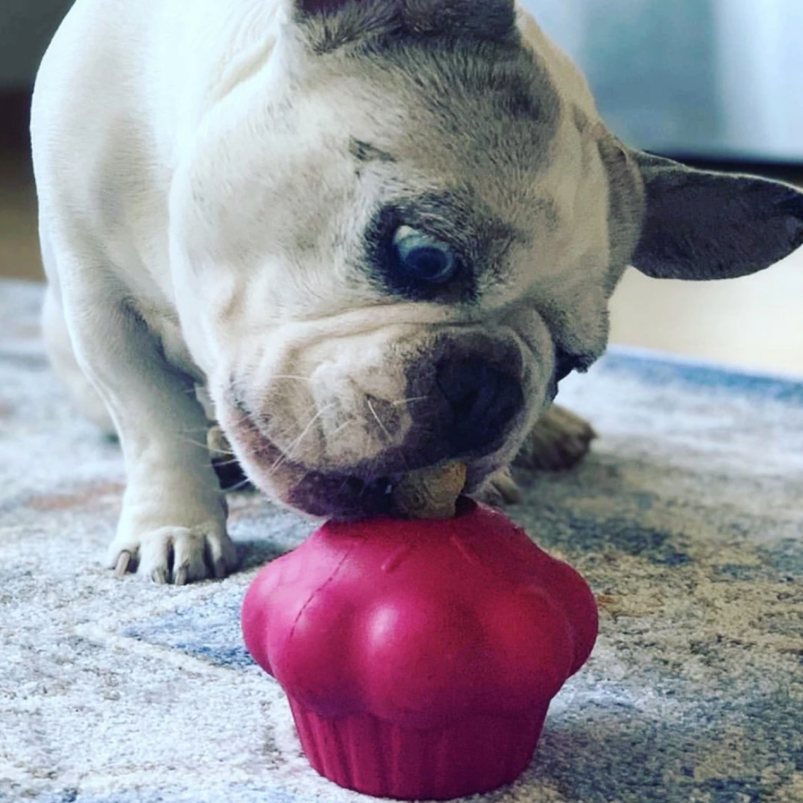 ROVER PET PRODUCTS - Pink Cupcake Slow Feeder Toy
