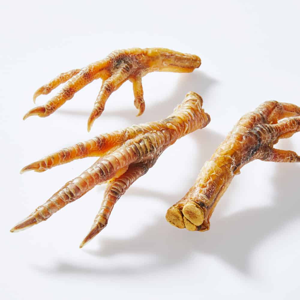 FETCH CONNECTION - Chicken Feet