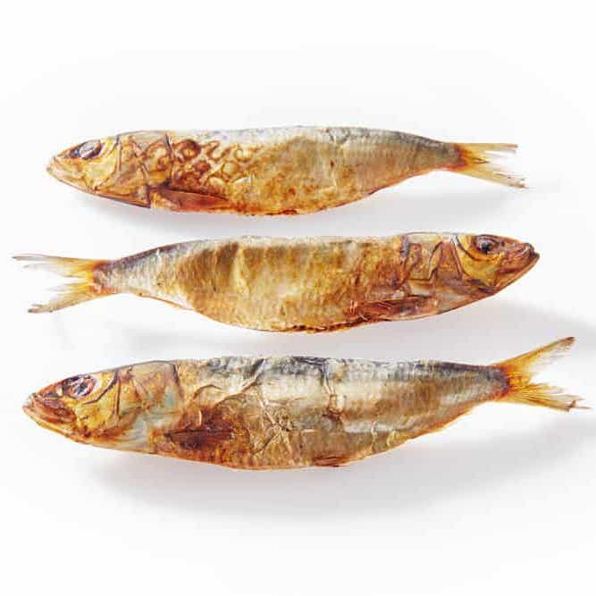 FETCH CONNECTION - Sardines